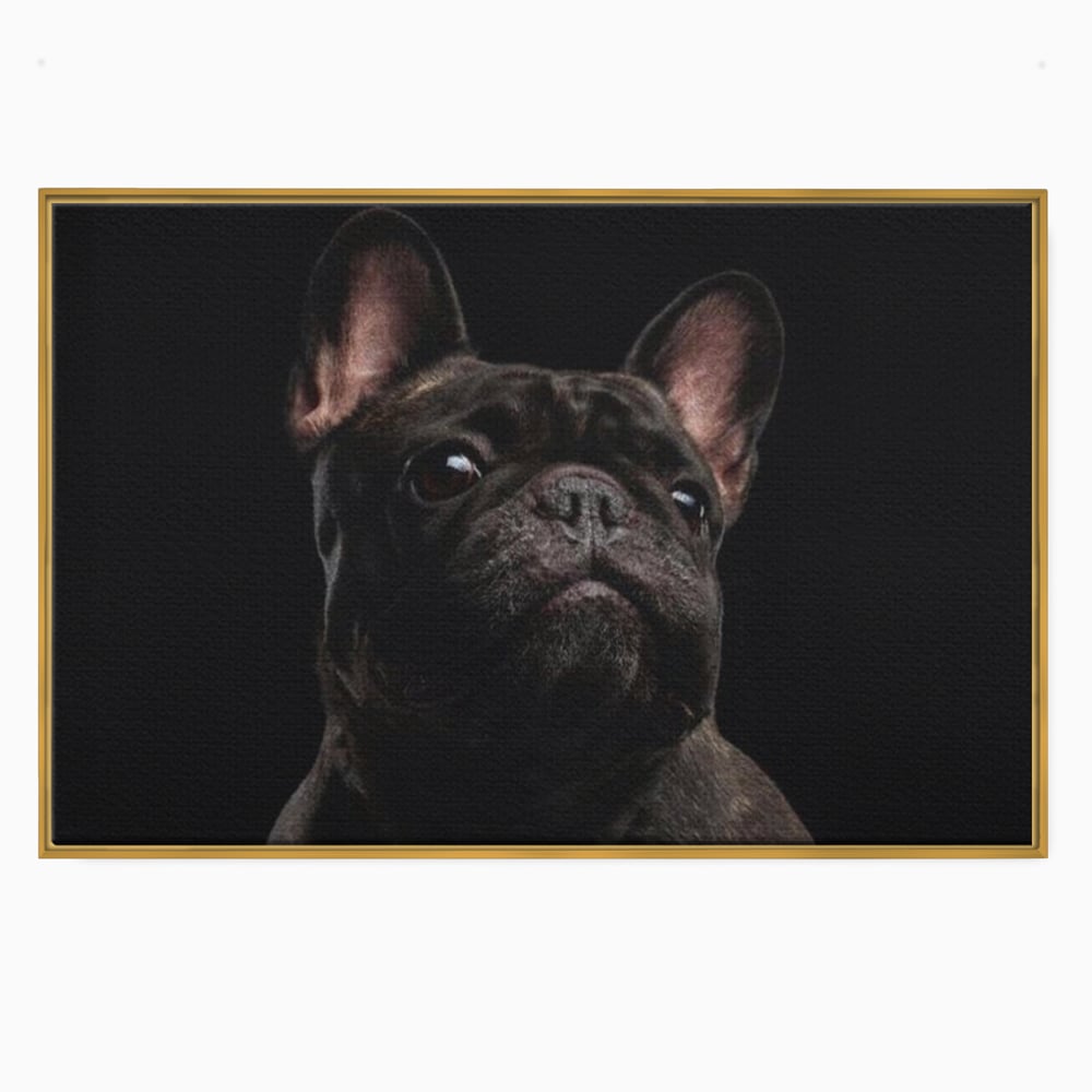 Tablou canvas cu tablou canvas cu bulldog in umbra, in rama de aluminiu auriu